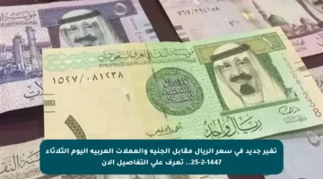 تغير جديد في سعر الريال مقابل الجنيه والعملات العربية اليوم الثلاثاء 25-2-1447.. تعرف على التفاصيل الآن